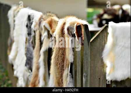 Fox e pelo di capra per capi di abbigliamento esposti su una recinzione di legno Foto Stock