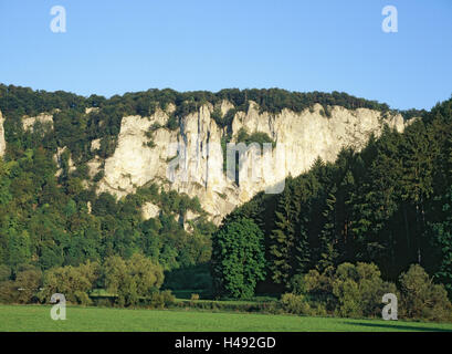 Germania, Baden-Württemberg, Svevo incubo, Valle del Danubio, mostra rock, cielo blu, Beuron, Neidingen, riserva naturale, rock, scogliera, calcare, area di arrampicata, arrampicata roccia, area viaggi, natura, legno, alberi, cielo blu, il sole, turismo, nessuno, Foto Stock