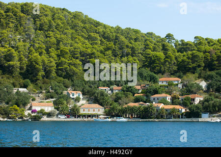 Croazia, Dalmazia, isola di Mljet, Babine Kuce in Veliko jezero, Foto Stock