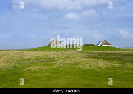 Amburgo Hallig, Frisia del nord, nord Frisians SCHLESWIG-HOLSTEIN, Germania, Foto Stock