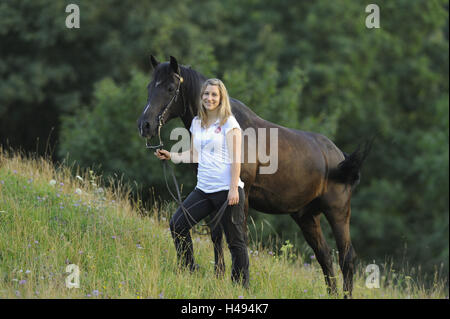 Ragazza adolescente, cavallo, Arabo-Haflinger, prato, stand, visualizza fotocamera, Foto Stock