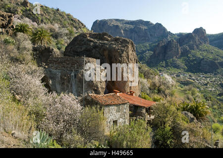 Spagna, grana Canaria, mandorla blossom nel centro paese di montagna vicino al villaggio di montagna Ayacata, Foto Stock