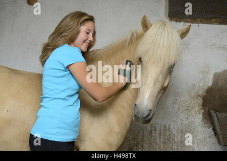 Ragazza adolescente, cavallo, Icelander, stabile, curry, Foto Stock