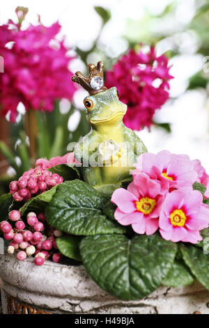 Vaso con la figura di rana, figura, rana principe, Primrose e boxberry, Primula Gaultheria, Foto Stock