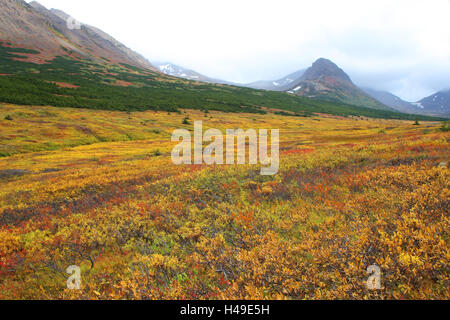 Stati Uniti d'America, Alaska, scenario, autunno Foto Stock