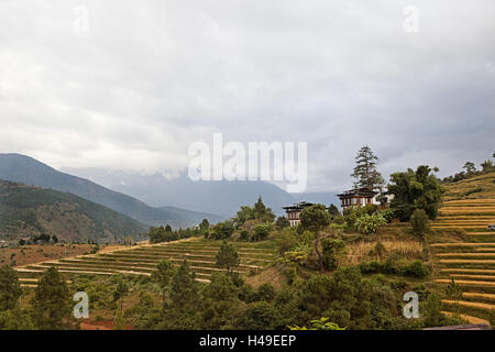 Regno del Bhutan, scenario della valle di Paro, terrazze di riso, Foto Stock