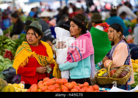 Ecuador, provincia di Cotopaxi, Pujili, mercato, tradizionalmente, donne, shopping, Sud America, persona, locali, verdure, commercio, alimentari, frutta, vendite, acquisti, giorno di mercato neonati, bambini, tre, basket, merci, commercianti, Sud Indiani Americani, clienti Foto Stock