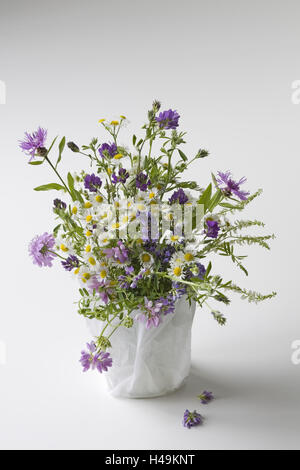 Wild bouquet di fiori, bianco-viola, Foto Stock