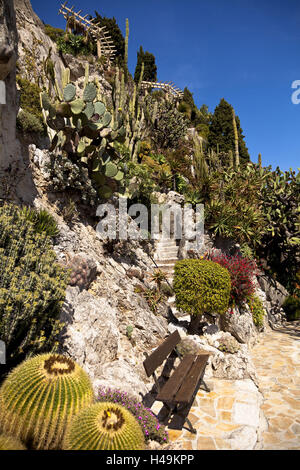 Il Principato di Monaco, il giardino dei cactus nel giardino botanico, Foto Stock