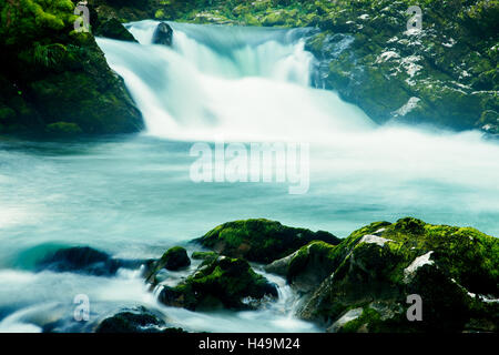 Il Soteska gola gorge, Gorje, vicino a Bled, Slovenia. Il 1.6 km lungo la gola, Gorge è stato scolpito attraverso le rocce verticali Foto Stock