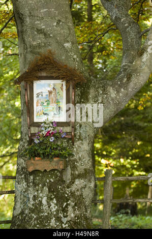 Bassa Austria, succo di frutta al quarto posto con Scheibbs, Marterl nella struttura ad albero con il margine di pietra, Foto Stock