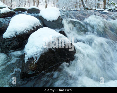 Inverno impressione nel Pinnau, linea di montaggio in acque nel Möllner area viaggio Pinnautal, Foto Stock