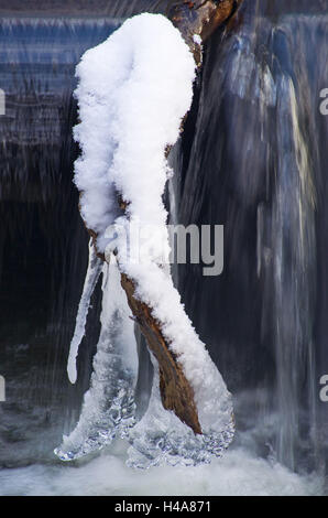 Inverno impressione in Pinnautal, Germania, Schleswig-Holstein, Foto Stock