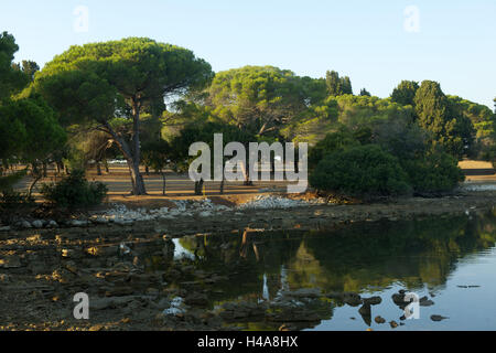 Croazia, Istria, isola di Veli Brioni nel parco nazionale delle isole Brioni davanti a Pola, Foto Stock