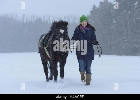 Giovane donna, cavallo, Arabo-Haflinger, piombo, con testa, visualizza fotocamera, Foto Stock