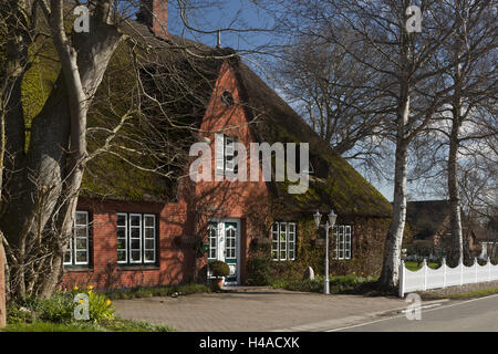 Germania, SCHLESWIG-HOLSTEIN, fregio del nord paese Eierstedt penisola, il frisone's house con la cottura cosa, Foto Stock