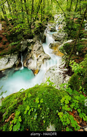 La Slovenia, Triglav, Parco Nazionale, sul fiume Foto Stock
