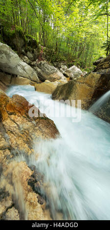 La Slovenia, Triglav, Parco Nazionale, Brook, Foto Stock