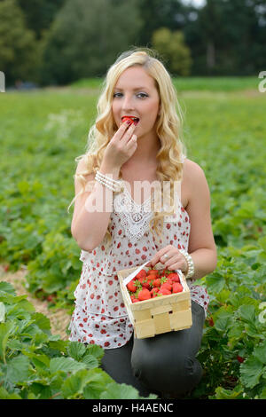 Giovane donna su un campo di fragole, Foto Stock