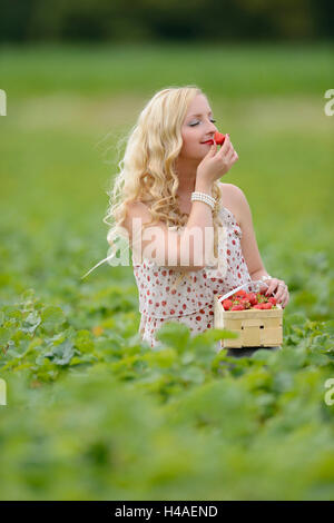 Giovane donna su un campo di fragole, Foto Stock