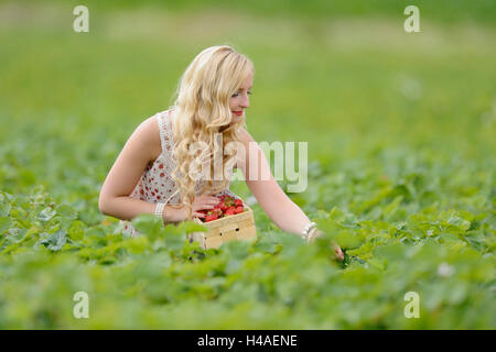 Giovane donna su un campo di fragole, Foto Stock