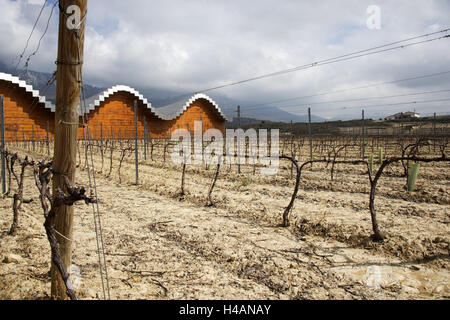 Spagna, Laguardia, vigneto, Bodegas Ysios, architettura, Europa, La Rioja, area vitivinicola, vigne, vigne, edifici, struttura prepotentemente, moderna cantina, esterno, struttura di tetto, facciata, forma, tetto, corrugatedly, ondulato linee ondulate, forma d'onda, design, vetro, legno, metallo, dettaglio Foto Stock