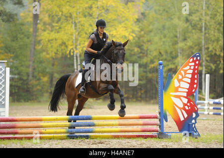 Gli adolescenti girl, cavallo, bavarese sangue caldo, ride, jump, con testa, Foto Stock