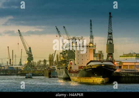 Germania, Amburgo, Elba, Porto, cantieri navali, Norderwerft, Foto Stock