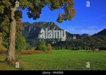 In Germania, in Baviera, senza nuvole giornata autunnale, Schwangau vicino a Füssen, il Castello di Neuschwanstein, Tegelberg (montagna), Foto Stock