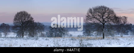 In Germania, in Renania settentrionale-Vestfalia, Wahner Heide, vista dal Telegrafenberg in inverno a sunrise, Foto Stock