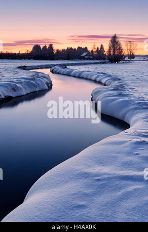 In Germania, in Baviera, contea di Augusta, inverno, prato, campo, Brook, scenario, corso, house, alberi, legno, umore, freddo, neve, Wertach Lech, valley Foto Stock