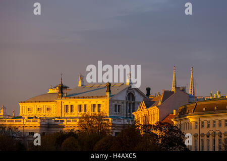 Europa Austria, Vienna, Burgtheater, vista posteriore Foto Stock