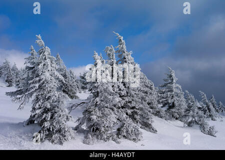 Inverno sul Brocken Foto Stock