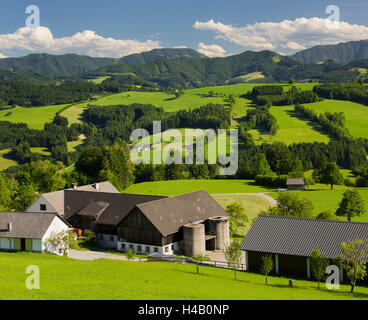 Colline ai piedi delle Alpi, vicino Waidhofen in Ybbs, Austria Inferiore, Austria Foto Stock