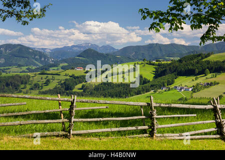 Colline ai piedi delle Alpi, vicino Waidhofen in Ybbs, Austria Inferiore, Austria Foto Stock