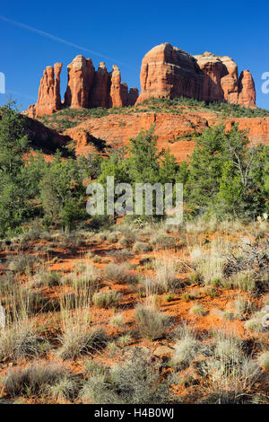Cattedrale Rock, Sedona, in Arizona, Stati Uniti d'America Foto Stock