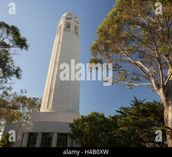 Coit Tower, Telegraph Hill, San Francisco, California, Stati Uniti d'America Foto Stock