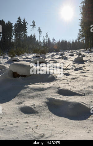 Paesaggio invernale, Alto Palatinato, Baviera, Germania, Europa Foto Stock