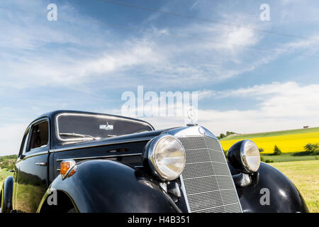 Vielbrunn, Hesse, Germania, Mercedes 170 DS, digitare W191, anno di fabbricazione 1953 Foto Stock