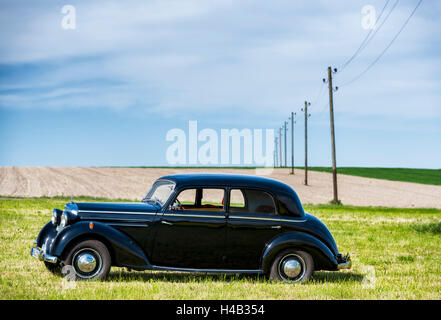 Vielbrunn, Hesse, Germania, Mercedes 170 DS, digitare W191, anno di fabbricazione 1953 Foto Stock