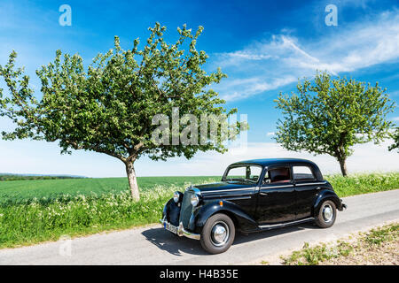 Vielbrunn, Hesse, Germania, Mercedes 170 DS, digitare W191, anno di fabbricazione 1953 Foto Stock