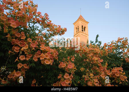 L'Italia, Toscana, Bolgheri, Castello, dettaglio, torre, arbusti, fiori, Foto Stock