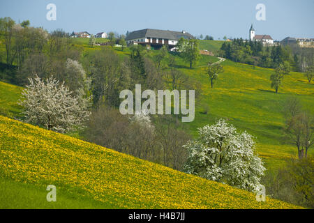 Bassa Austria, succo di frutta, quarto scenario con Waidhofen, molla Foto Stock