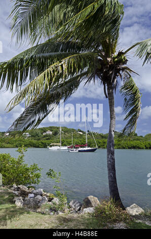 Antigua, Nelson's dock yard, barche a vela, Foto Stock