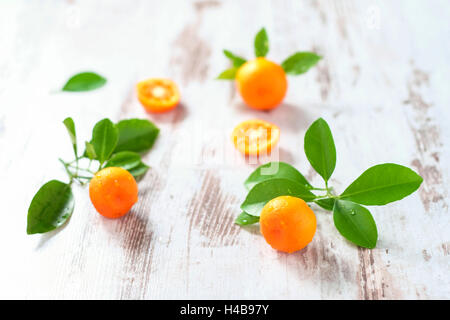 Mini-arance con foglie di colore bianco sul tavolo di legno, Foto Stock