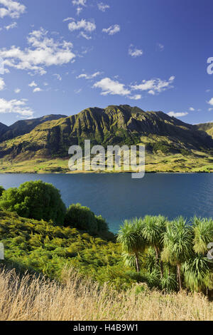 Picco di sentinella, Lago Hawea, Otago, Isola del Sud, Nuova Zelanda Foto Stock