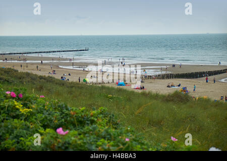 Spiaggia, Domburg, costa del Mare del Nord, la provincia della Zeeland, Holland, Paesi Bassi Foto Stock