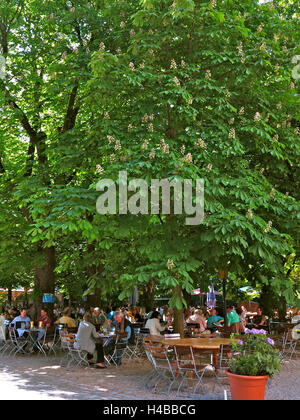 In Germania, in Baviera, Monaco di Baviera, Hofbräukeller, giardino della birra Foto Stock