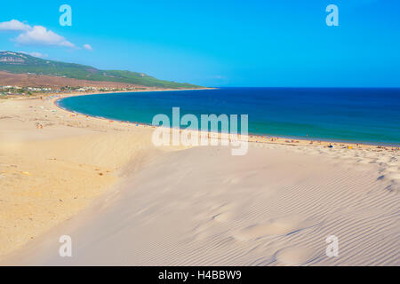 Bolonia spiaggia e dune di sabbia, Bolonia, la provincia di Cadiz Cadice, Costa de la Luz, Andalusia, Spagna Foto Stock