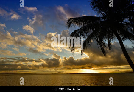 Tramonto con Palm Tree sulla spiaggia di Ankify, orientale, Madagascar Madagascar Foto Stock